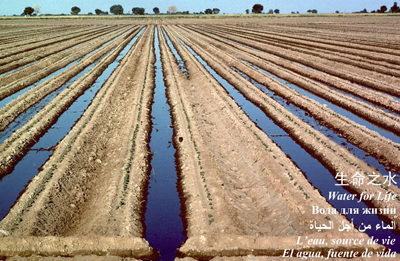 Vykort - World  water day