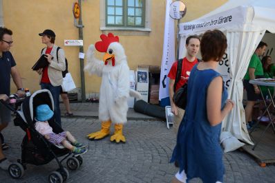 Tupp/höna får djurens rätt, politikerveckan 2012